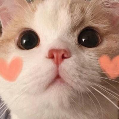 Gonzalo Tapia avatar